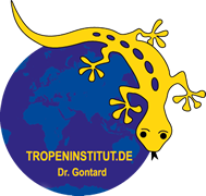 Tropeninstitut.de - gesund reisen & gesund heimkehren