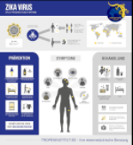Infografik ZIKA Virus