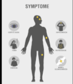 ZIKA Virus Symptome