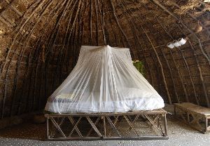 Gefahr durch Malaria
