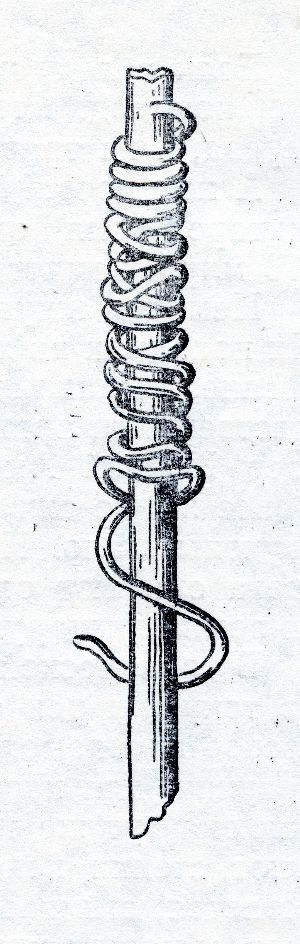 Dracunculusbefall